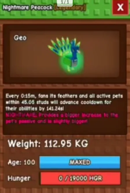 NM Huge PEACOCK 112 KG AGE 100 Fast Delivery Nightmare