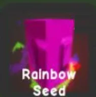 Rainbow Seed — Account account