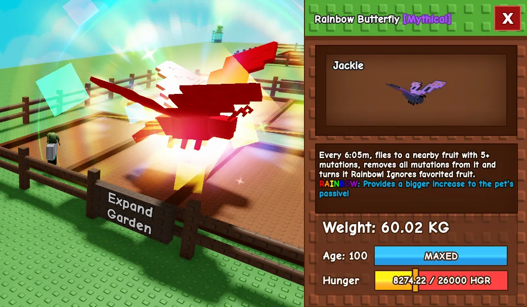 61kg+ Age 100 Rainbow Butterfly