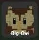 Owl (Uncommon) — Account account