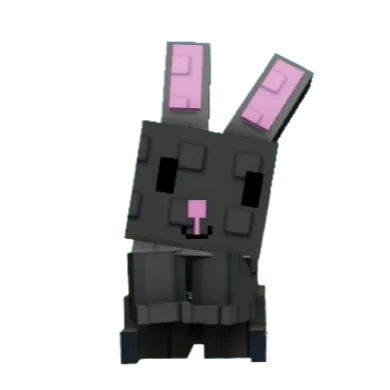 Black bunny age 53 instant delivery