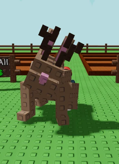 Mega Jackalapoe (1,98 Kg, Age 12)