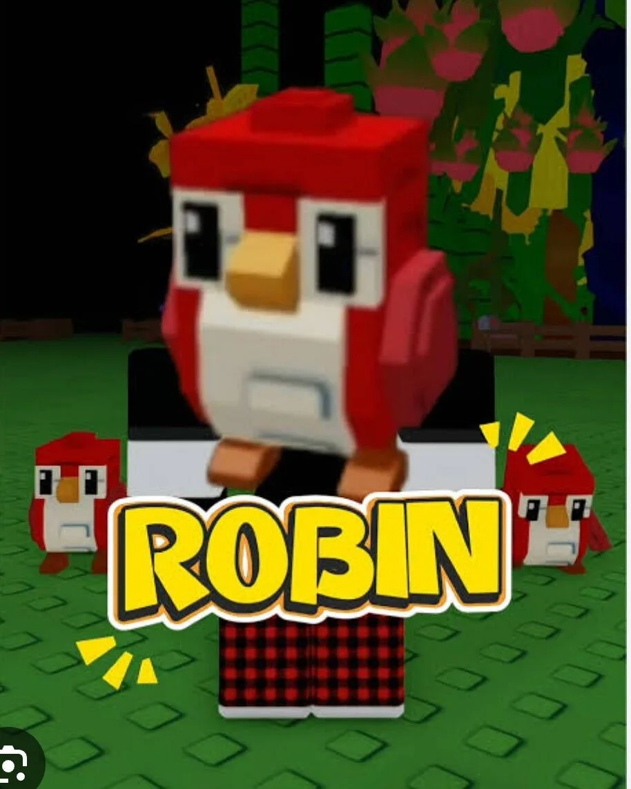 Robin