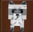 Raccoon (Super)