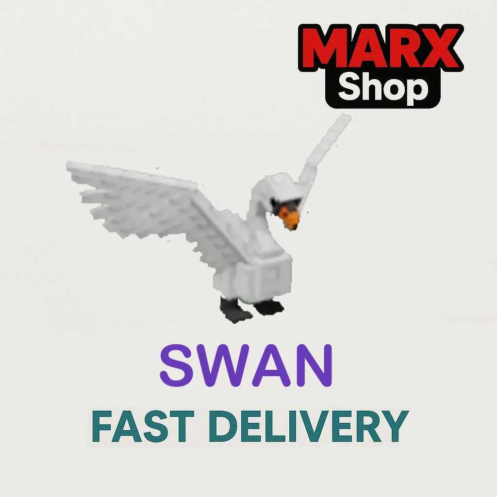 Swan