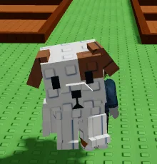Dog GAG