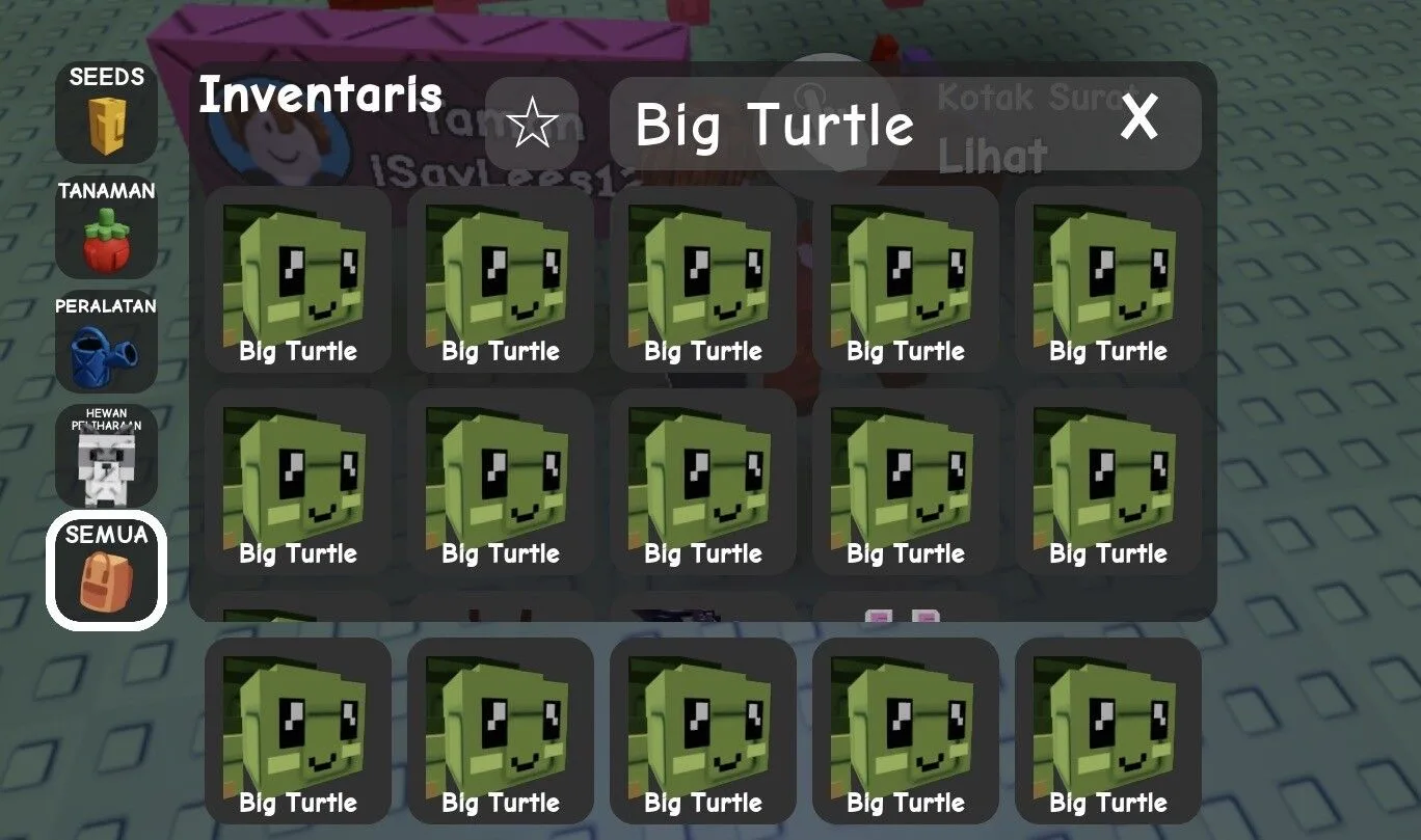 Turtle (Rare)
