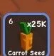 Carrot Seed — Account account