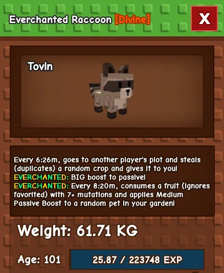 huge raccon (61.71 KG) everchanted