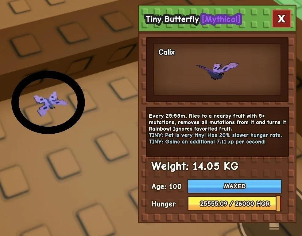 TINY Butterfly - 14.05 KG (Age 100)
