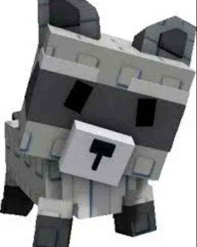 Raccoon (Super) — Account account