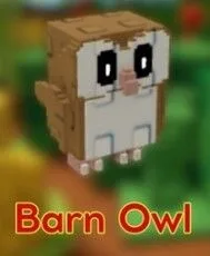 Barn Owl — Account account