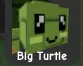 Turtle