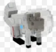 Space Squirrel Fast Delivery 2 pcs — Account account