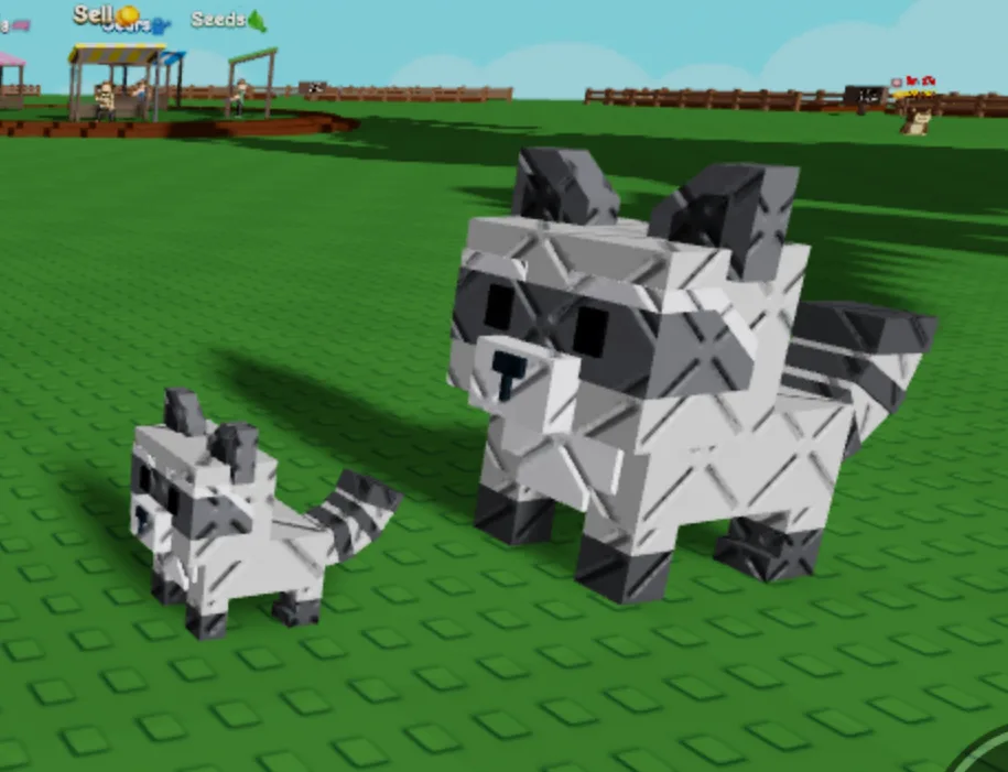 Raccoon (Super)