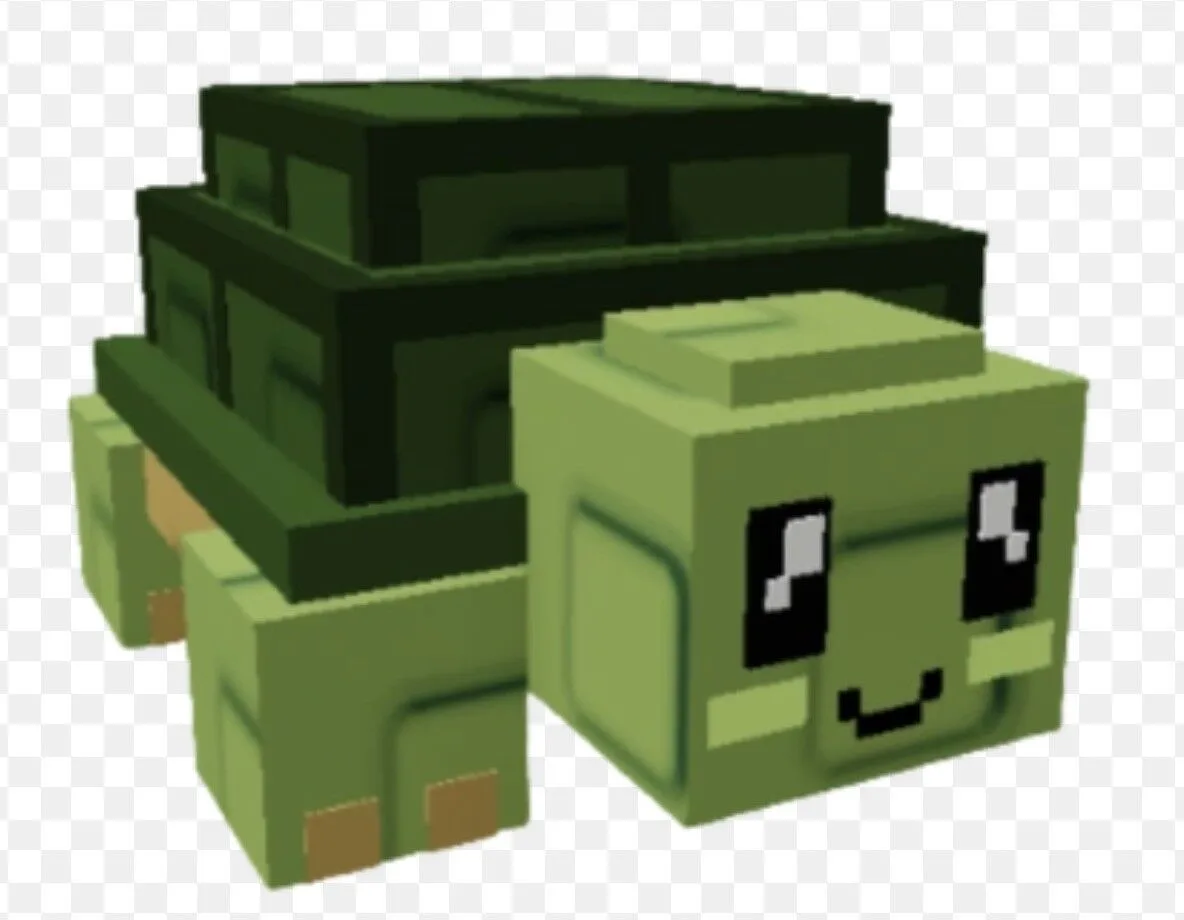 Turtle (Rare)