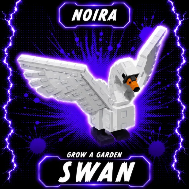 Swan