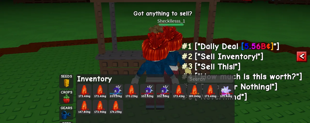 Daily Deal 5B Sheckles