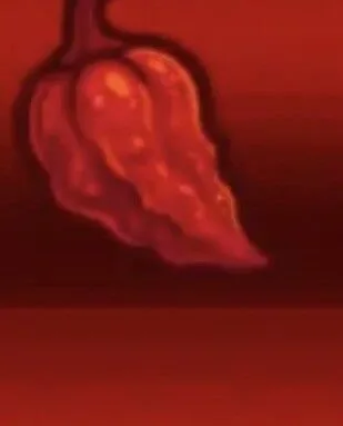 Ghost Pepper Seed — Account account