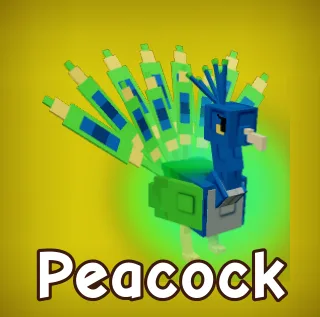 Peacock