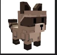 Raccoon (Super)