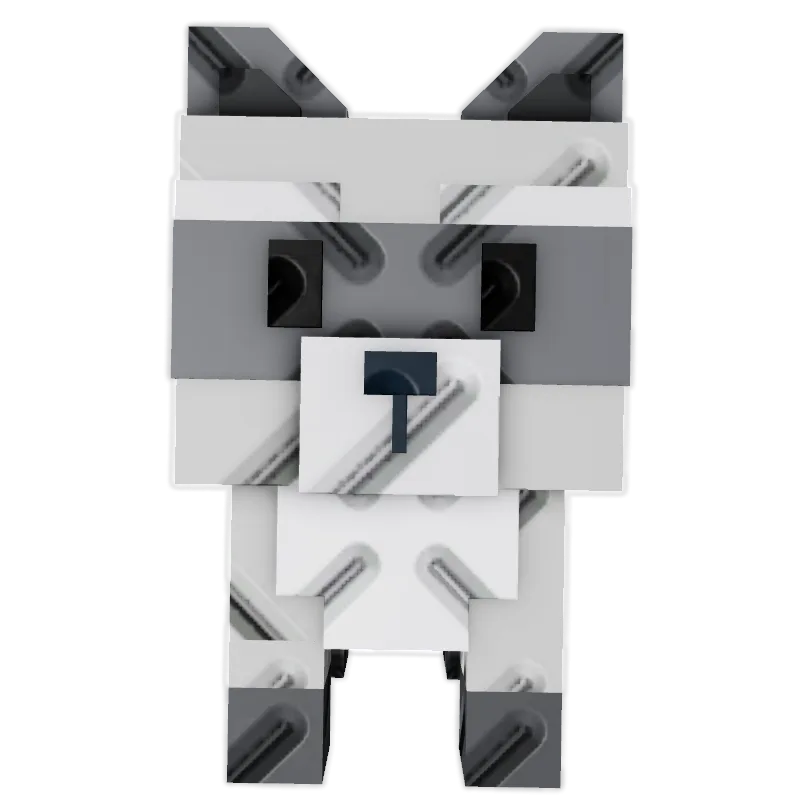 Raccoon (Super)