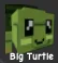 Turtle (Rare)