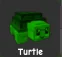 Turtle (Rare)