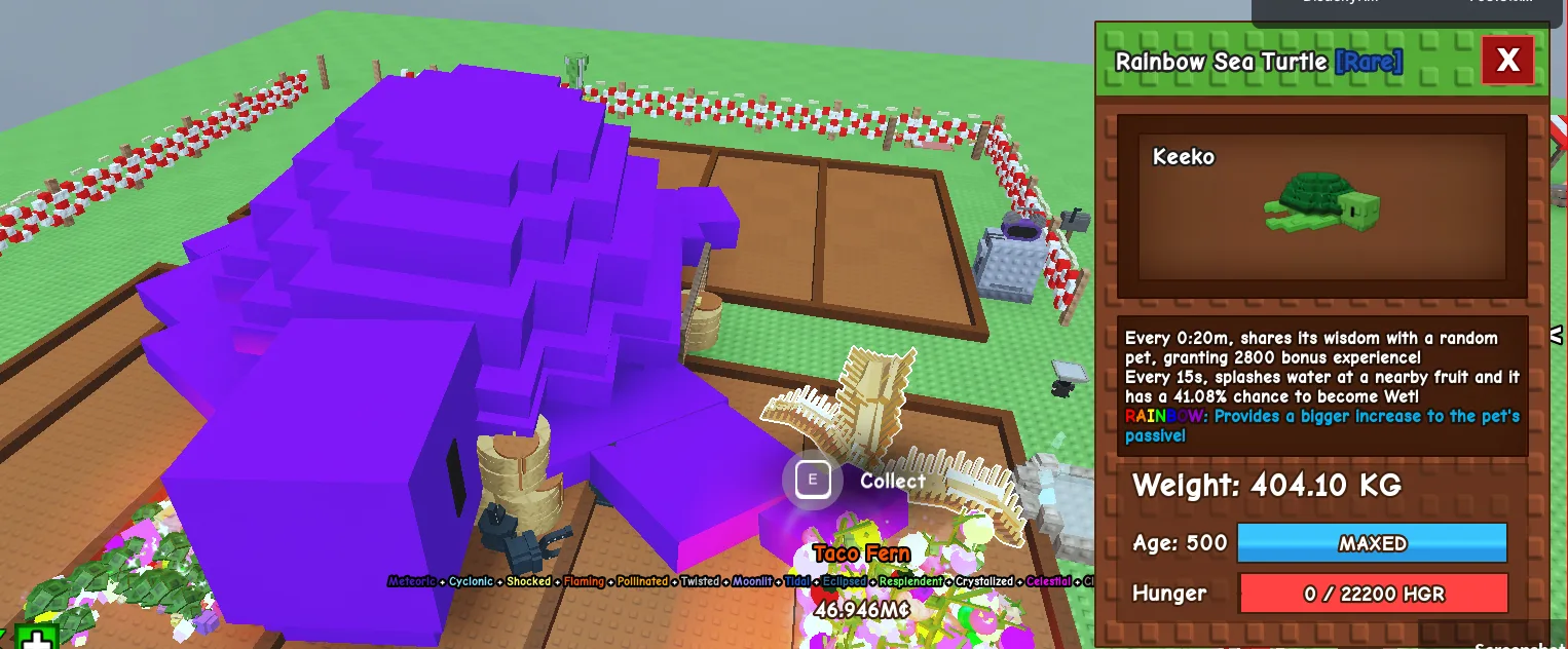 404KG RAINBOW Sea Turtle Rare // super handsome // Age 500 MAXED // 2800 XP / 20s // Wet Fruit Passive // Heavy Pet