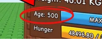Level 500 Max Level Up Service Grow a Garden Skip the Grind Cheapest — Account account