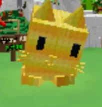 60kg+ GOLDEN MOON CAT super cute and handsome