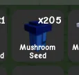 Mushroom Seed — Account account