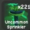Uncommon Sprinkle Fast Delivery