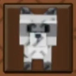 Raccoon (Super)
