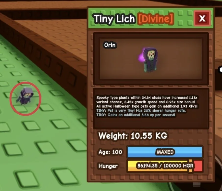 TINY Lich - 10.55 KG (Age 100)