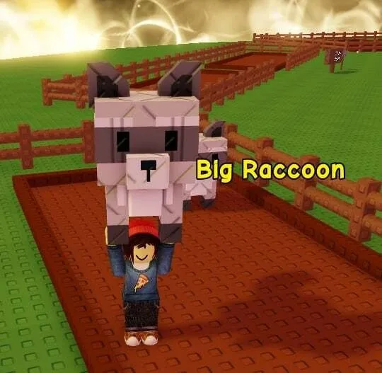 Raccoon (Super)