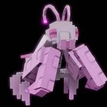 READY HUGE 60/61 KG ORCHID MANTIS Grow A Garden