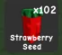 Strawberry Seed — Account account