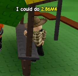 Raccoon (Super) — Account account
