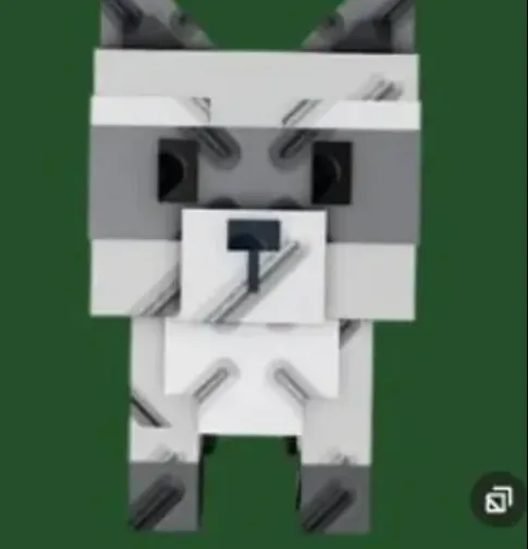 Raccoon — Account account