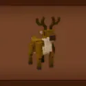 4x Reindeer — Account account