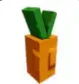 Carrot Seed (Common)