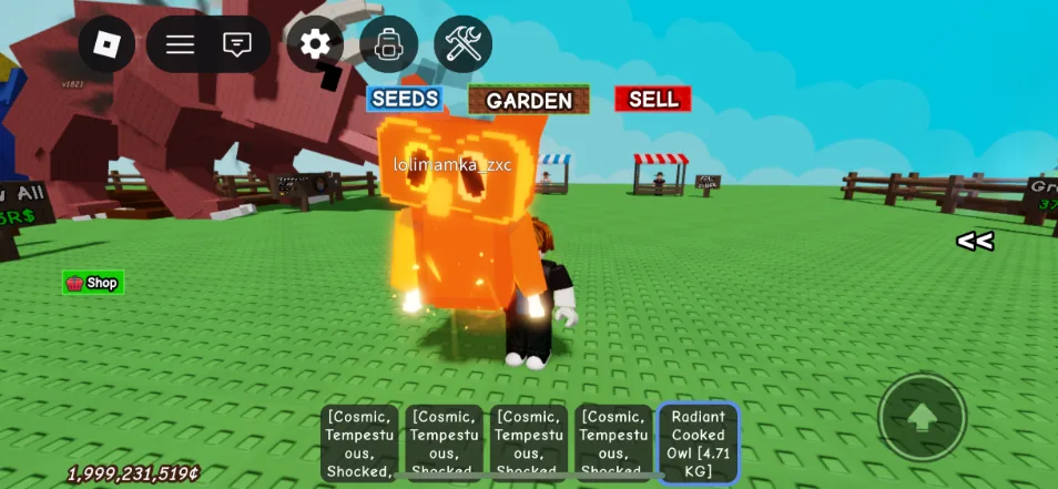 RADIANT COOKED OWL instant delivery — Account account