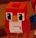 Robin — Account account