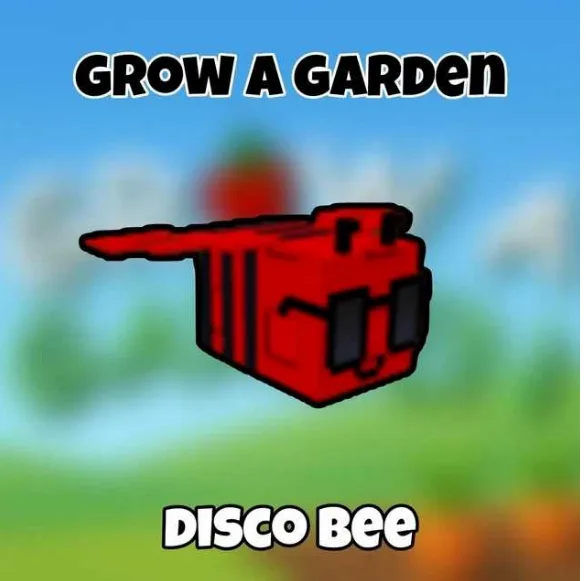 Disco Bee