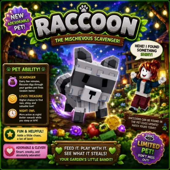 Raccoon