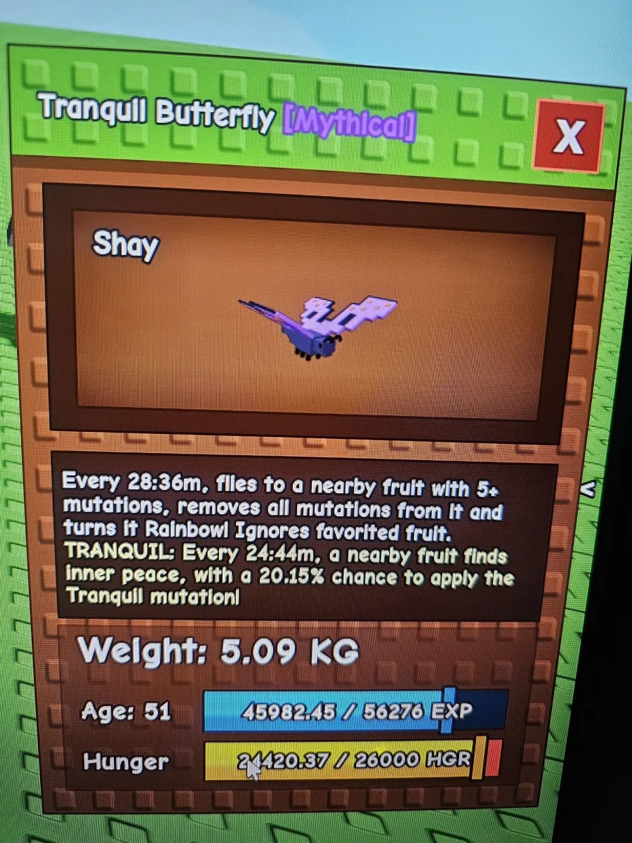 tranquil butterfly