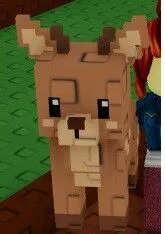 Deer (Common) — Account account