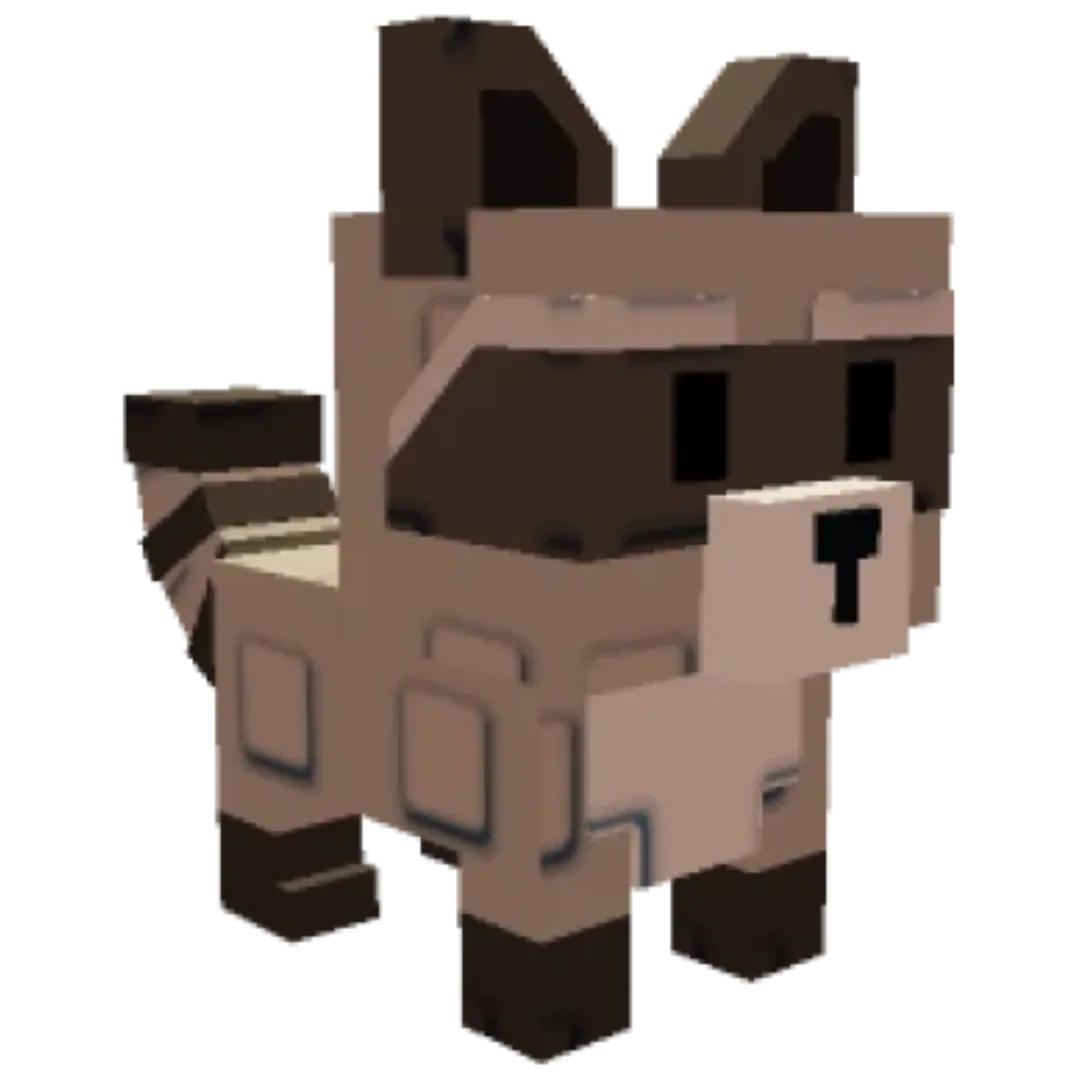 Raccoon — Account account