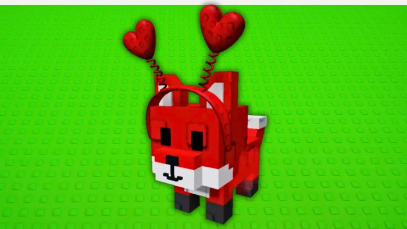 Red rose fox